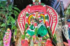 Amman-2nd-Day-Veedhi-Ula