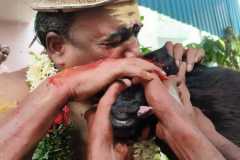Kutti-Kudi