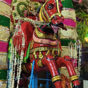 Kudirai vaganam Veedi ula 1st Day